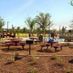 Surprise Farms Park picnic area and BBQ grills